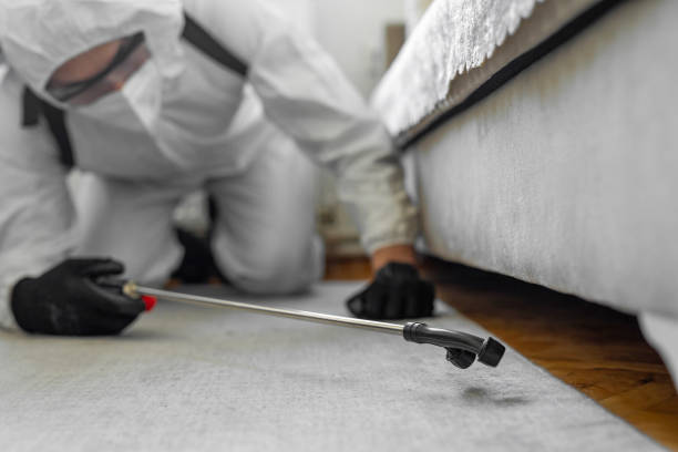 Professional Cockroach Control technician working in Leflore County County, MS